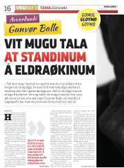 Síða 16