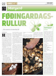 Síða 22