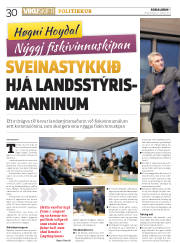 Síða 30