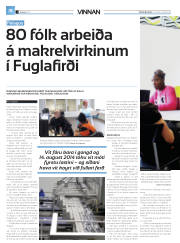 Síða 41