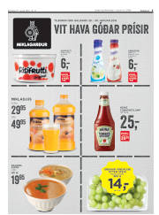 Síða 3