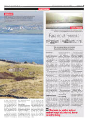 Síða 9