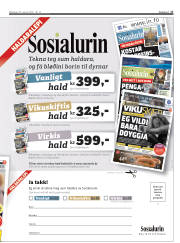 Síða 17