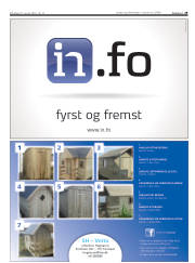 Síða 29