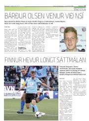 Síða 31