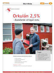 Síða 43