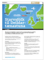Síða 3