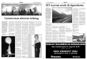 Síða 4
