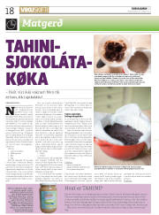 Síða 18
