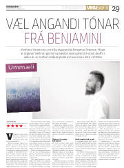 Síða 29