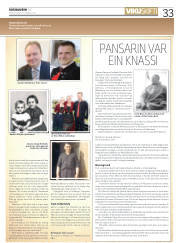 Síða 33