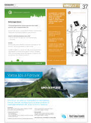 Síða 37