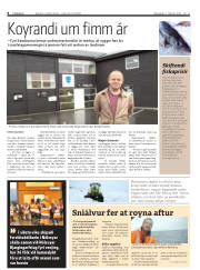 Síða 8