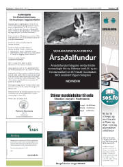Síða 13