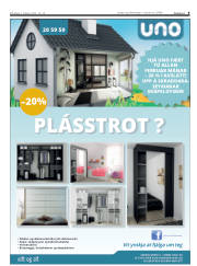 Síða 9
