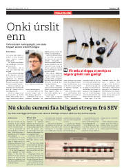 Síða 11
