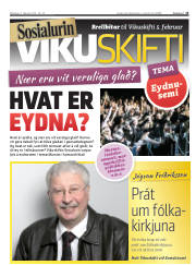 Síða 13