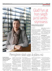 Síða 17