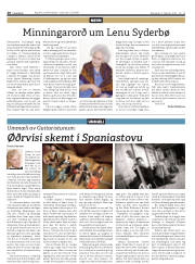 Síða 20