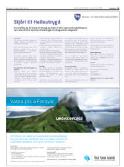 Síða 21