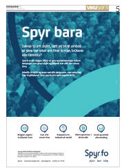 Síða 5