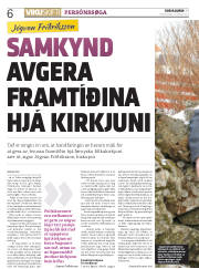 Síða 6