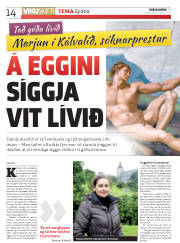 Síða 14