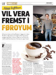 Síða 18