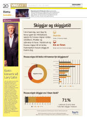Síða 20