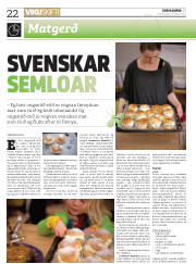 Síða 22