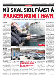 Síða 11