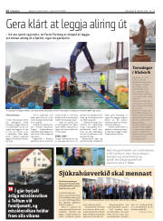 Síða 12