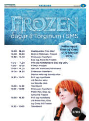 Síða 33