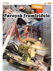 Síða 35