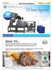 Síða 39