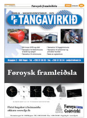 Síða 45