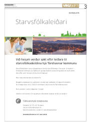 Síða 3
