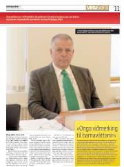 Síða 11