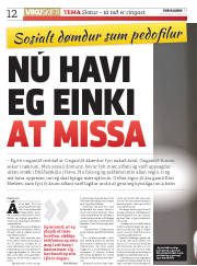 Síða 12