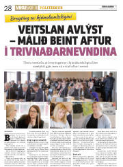 Síða 28