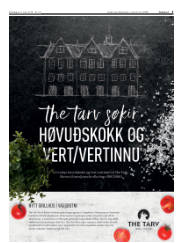 Síða 3