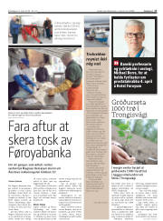 Síða 17
