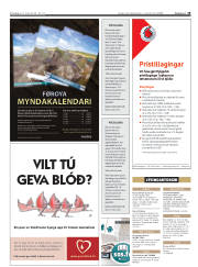 Síða 19