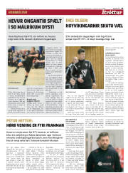 Síða 25