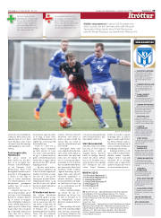 Síða 29
