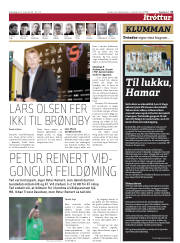 Síða 31