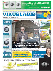 Síða 33