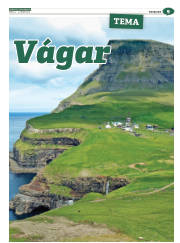 Síða 41