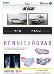 Síða 53