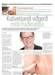 Síða 4